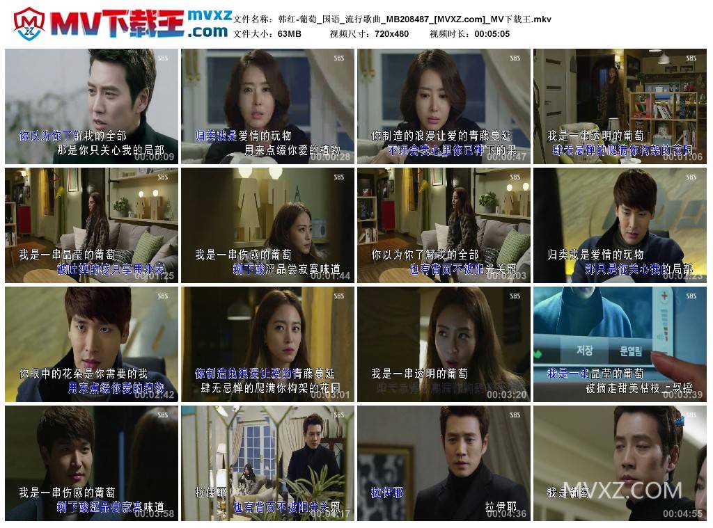 韩红-葡萄_国语_流行歌曲_MB208487